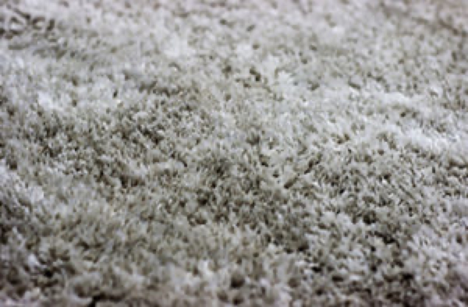 What's the Difference Between Plush & Textured Carpet?
