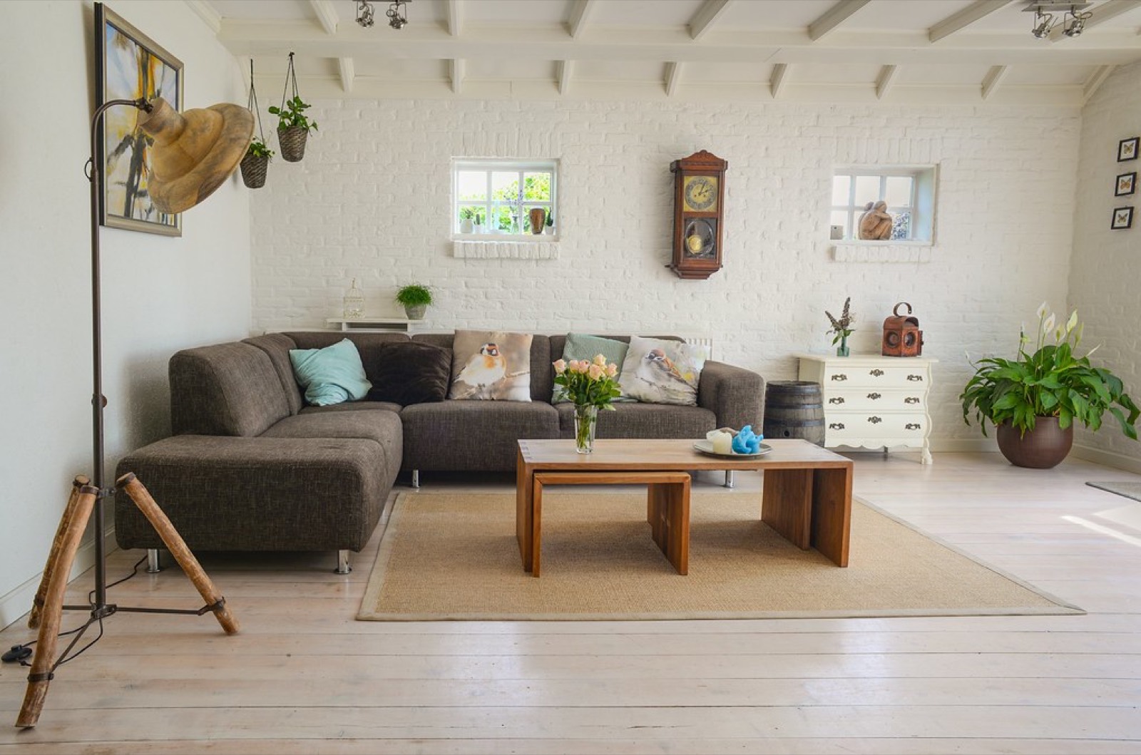 Carpet vs. Hardwood Flooring: Which Is Right for Your Home?