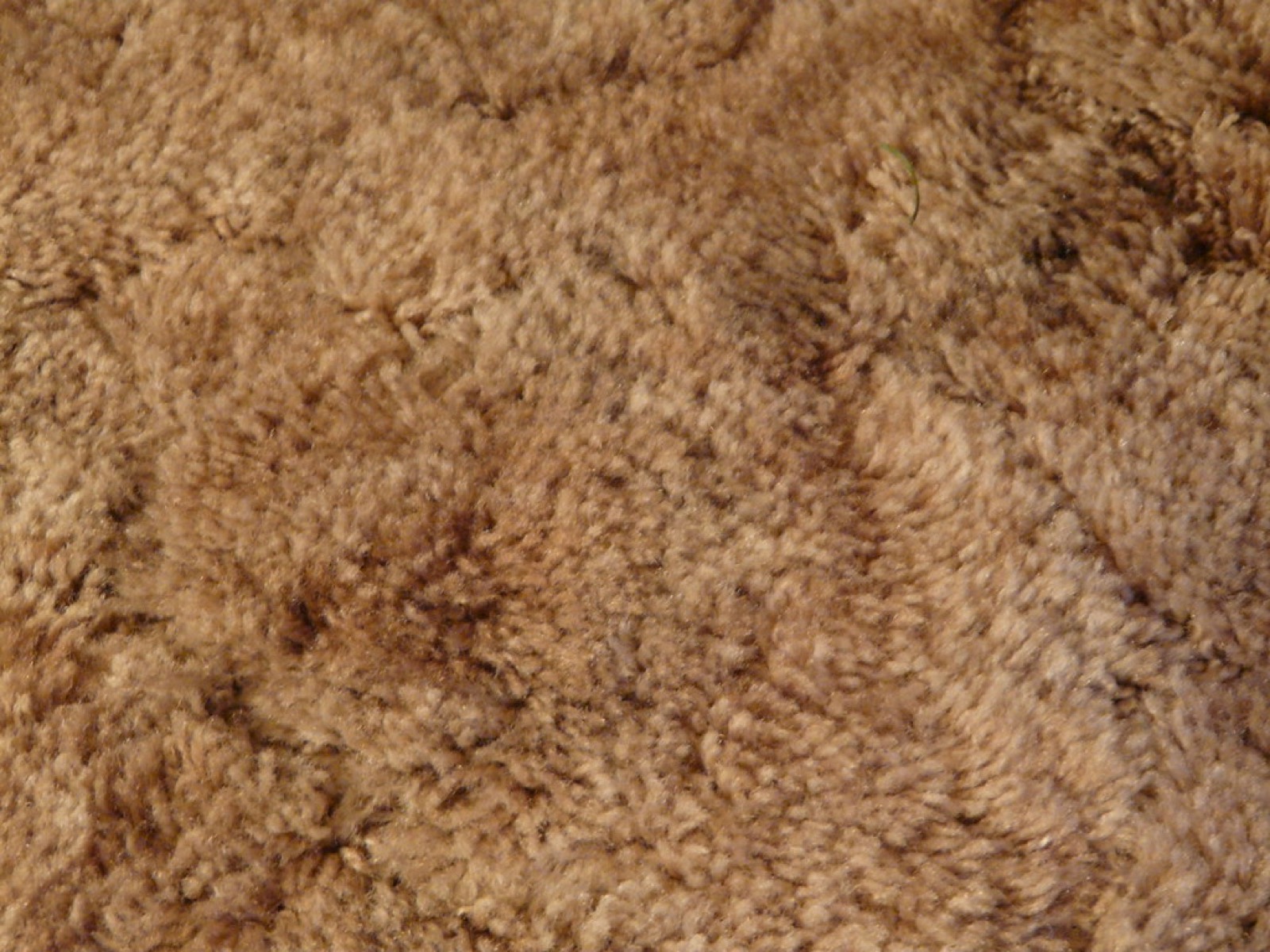 How to Choose the Right Carpet Flooring for Your Home